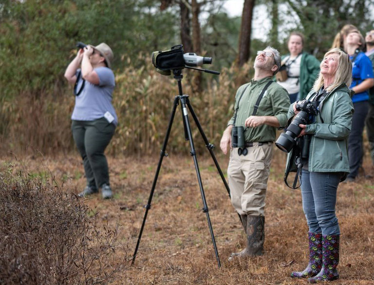 Virginia Birders