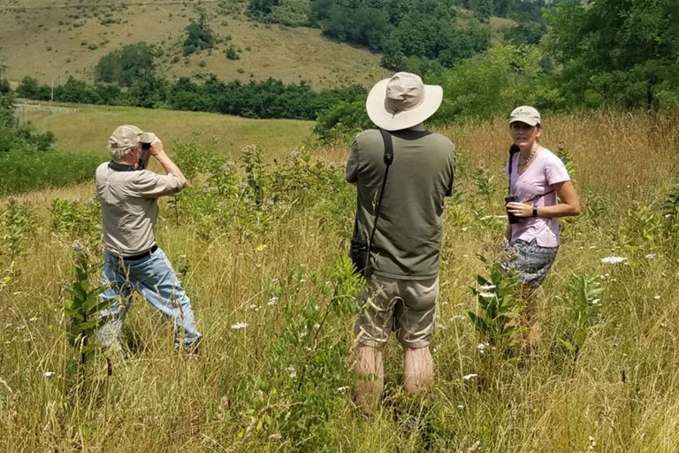 painted-bunting-vba Blockbusting: the practice of surveying one or more priority blocks over the course of several days or a weekend.