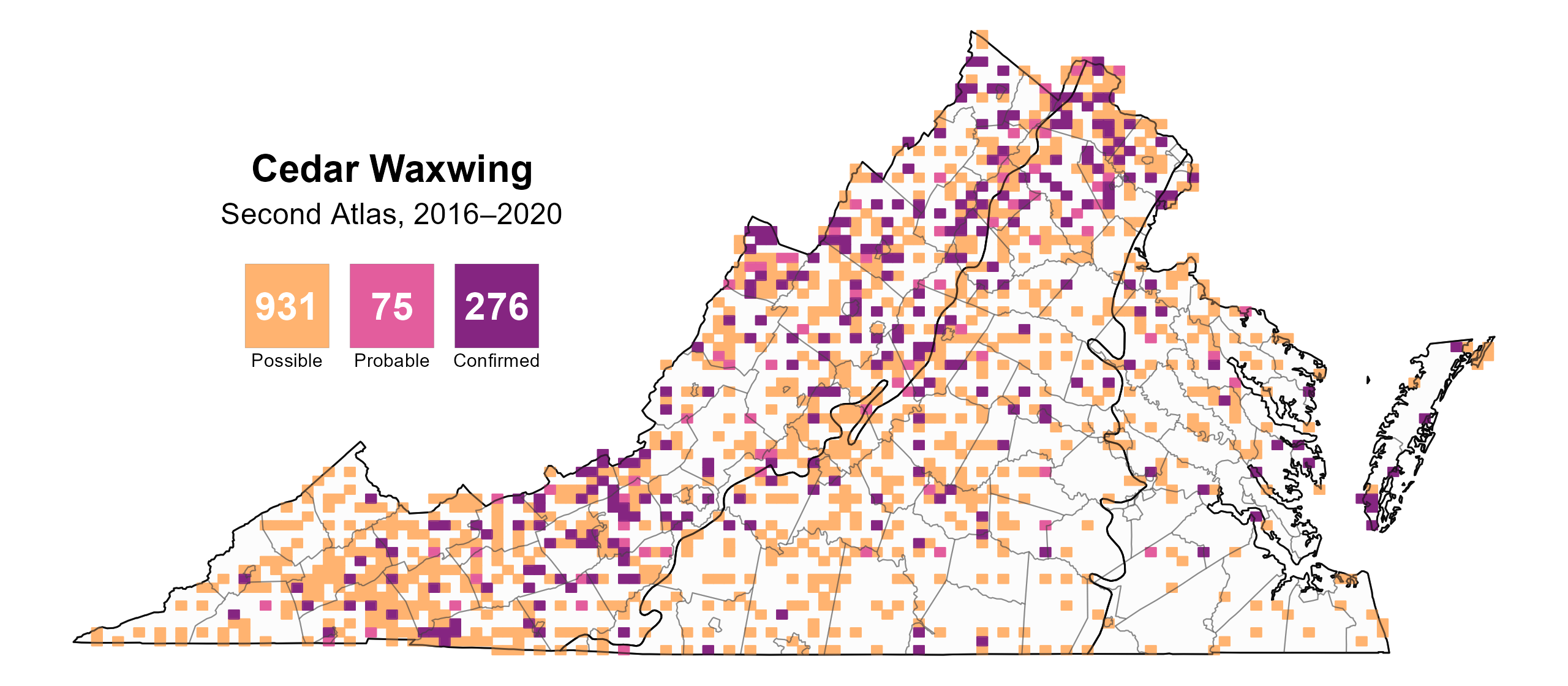 Cedar Waxwing breeding observations from the Second Atlas (2016–2020)