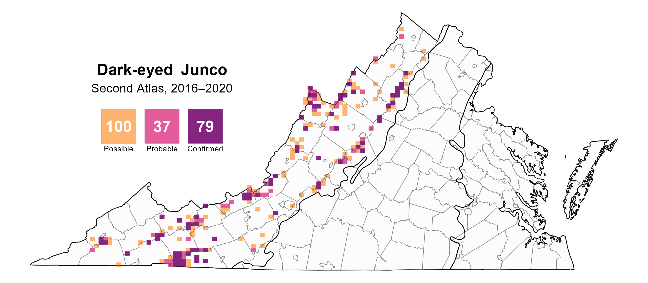 Dark-eyed Junco breeding observations from the Second Atlas (2016–2020)