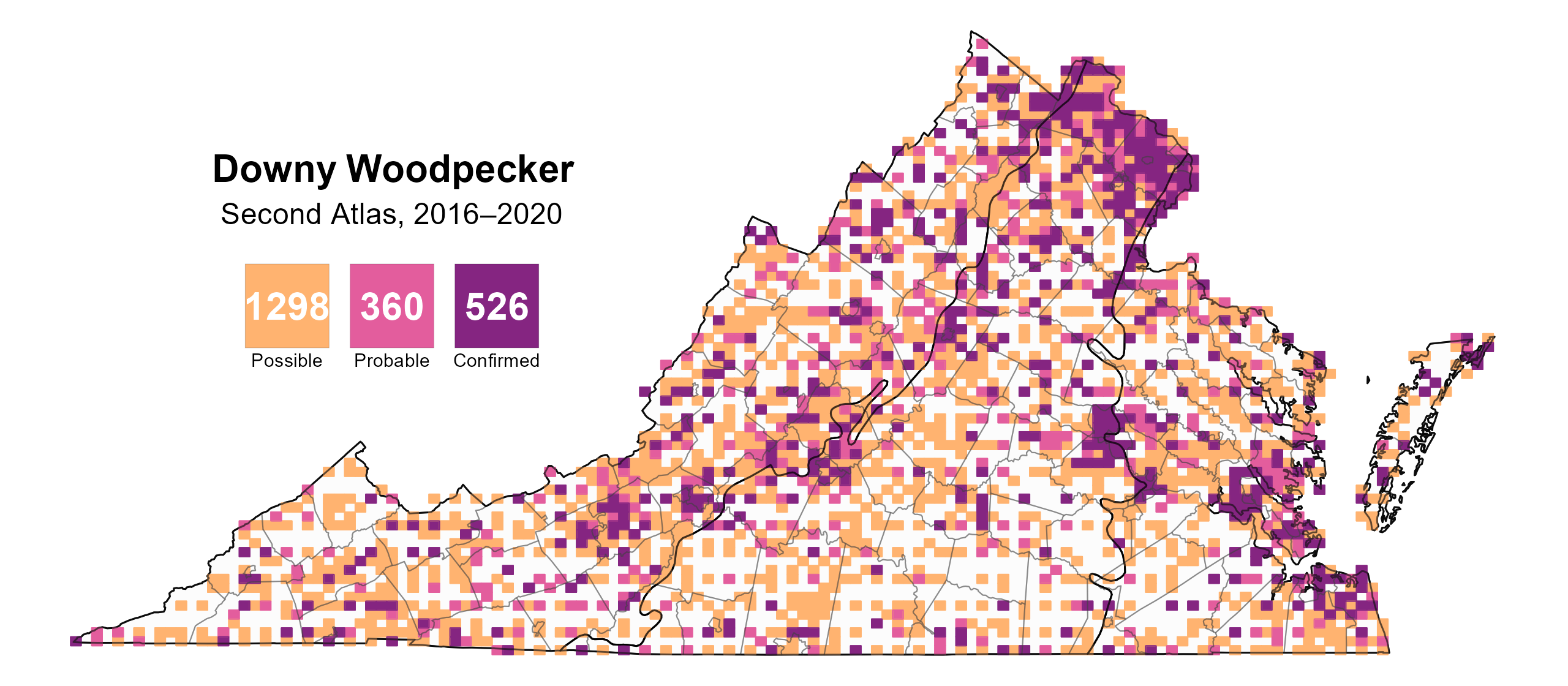 Downy Woodpecker breeding observations from the Second Atlas (2016–2020)