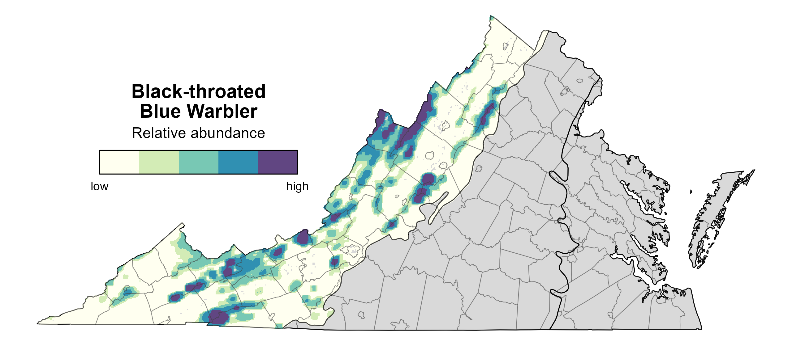 Black-throated Blue Warbler relative abundance based on predicted density