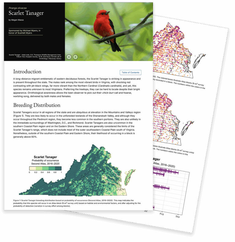 Scarlet Tanager Species Account