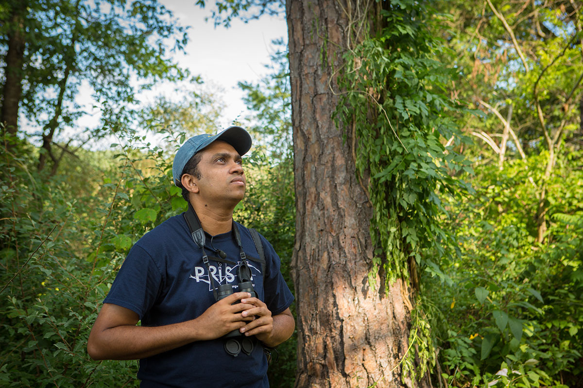 painted-bunting-vba With over 1,500 volunteers participating, the Atlas is Virginia’s largest citizen science project to date