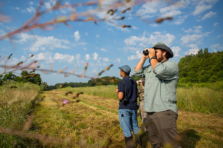 Birding in Virginia