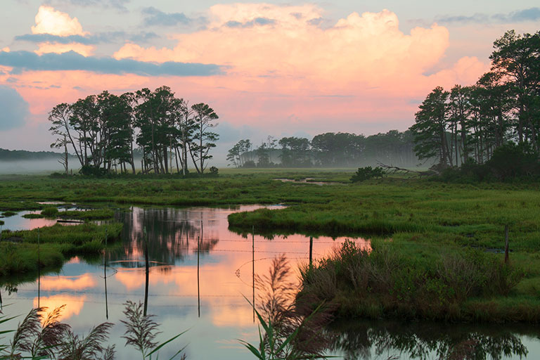 Virginia habitats 2
