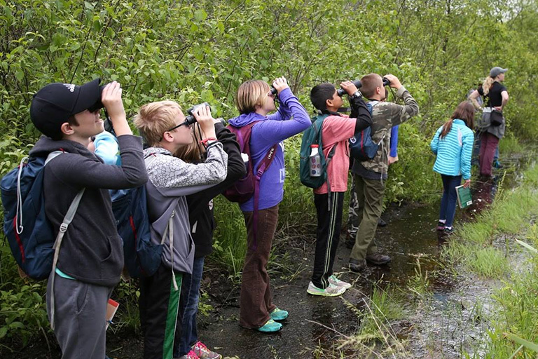 Young birders
