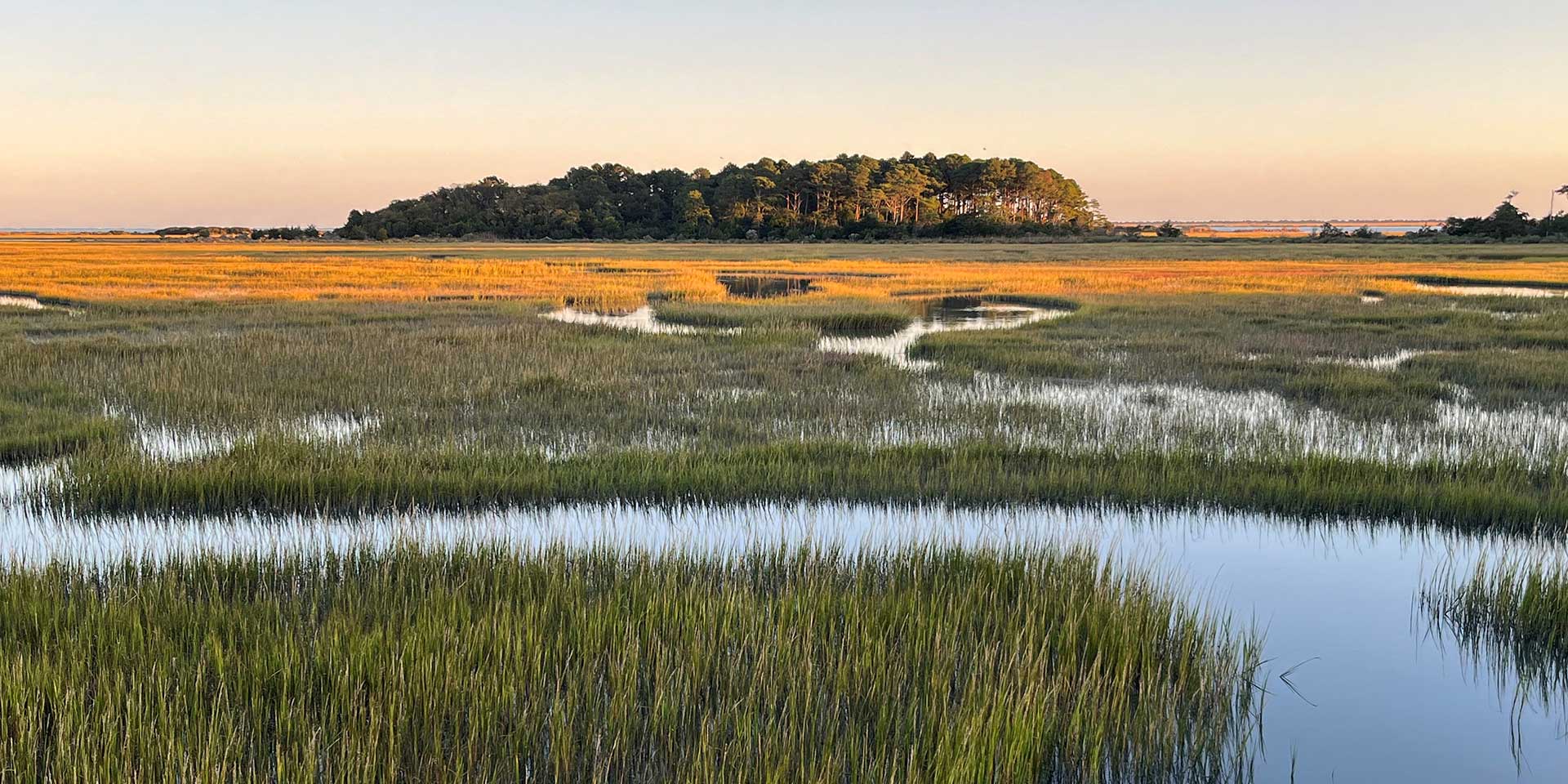 Back Bay National Wildlife Refuge, Virginia Beach, VA © Matthew Herron