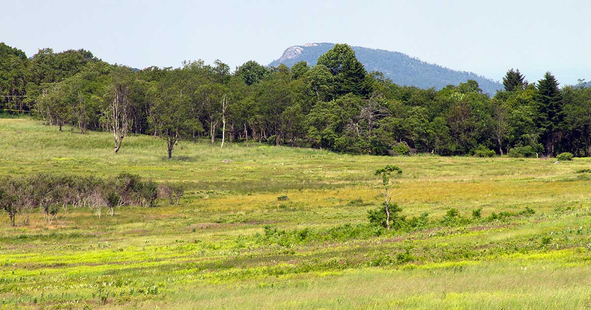 Big Meadows, Shenandoah National Park, Madison County, VA © Dixie Sommers