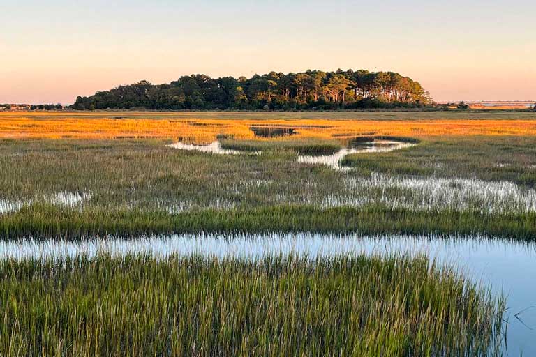 Herbaceous Wetlands
