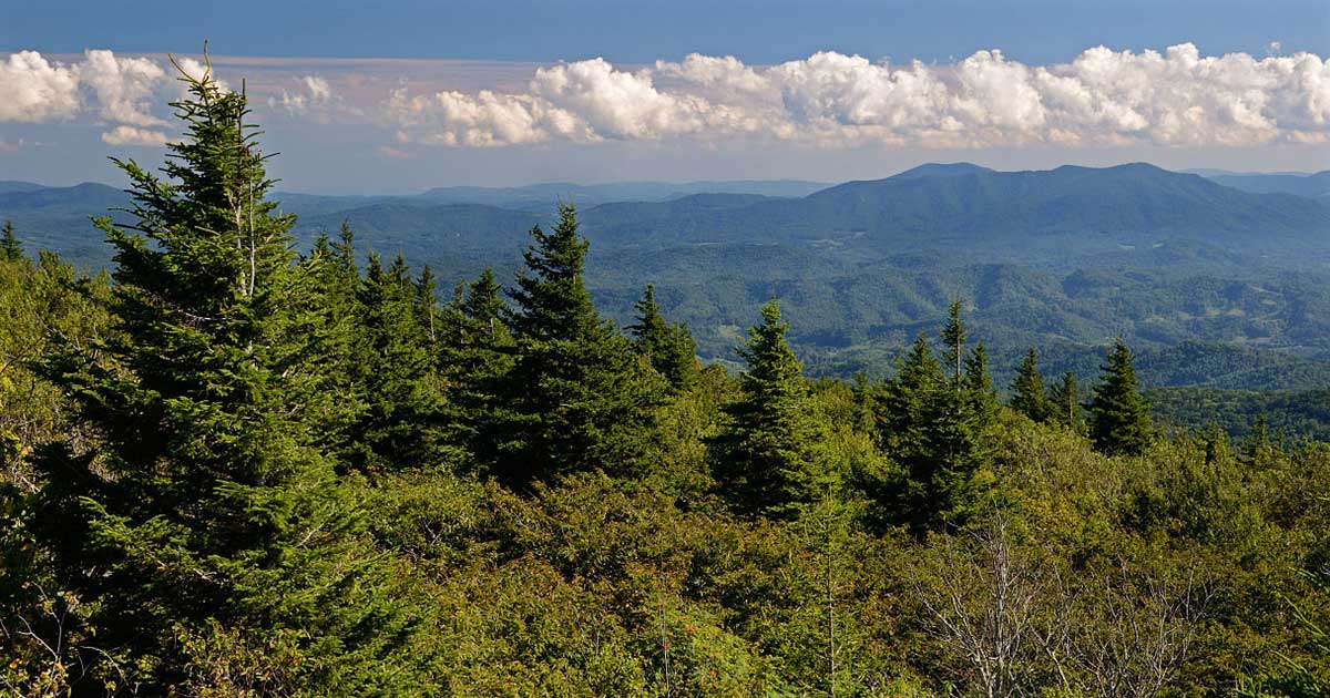 Haw Orchard Mountain, Grayson County, VA © Gary P. Fleming/Virginia Department of Conservation and Recreation