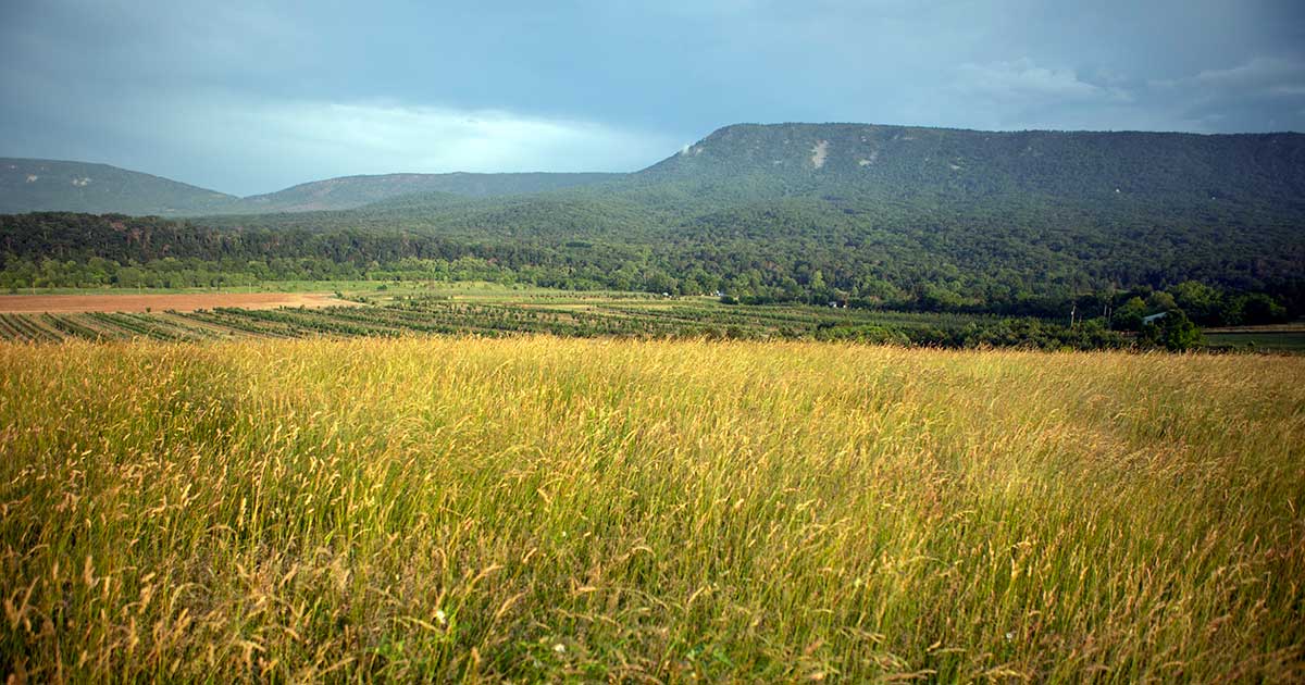 Pasture in Luray, Page County, VA © Brooke McDonough/Smithsonian