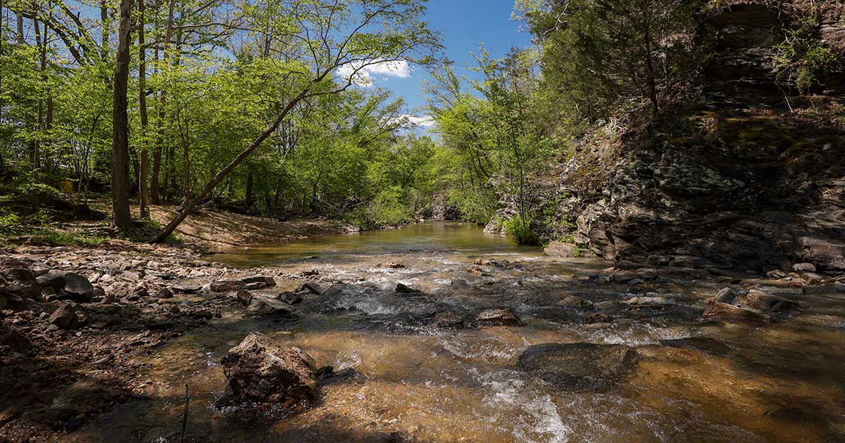 Rock Island Creek, Buckingham County, VA @ Meghan Marchetti/Virginia Department of Wildlife Resources