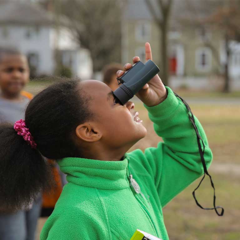 Young birder