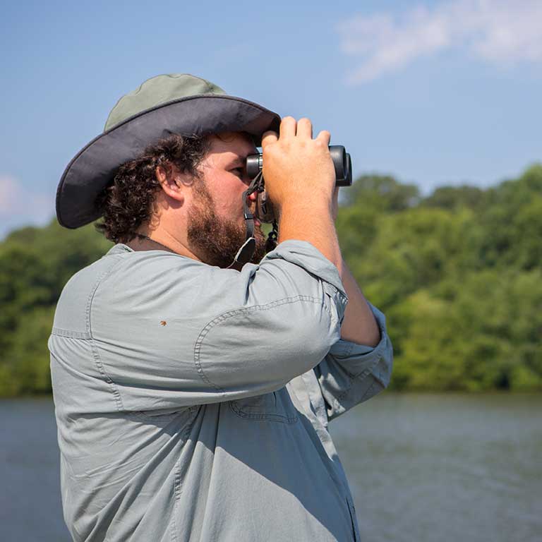 A person searches for bird activity in Virginia